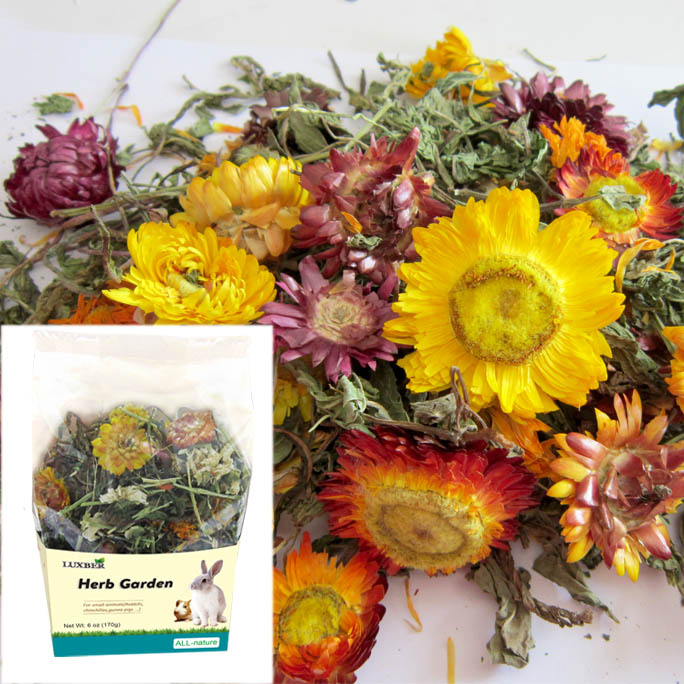 Herb and Flower Treats 1