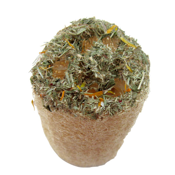 Loofah(Herb &  Flower)