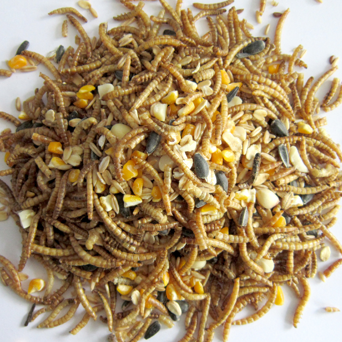 Oat & Mealworm Blend (for Chicken)