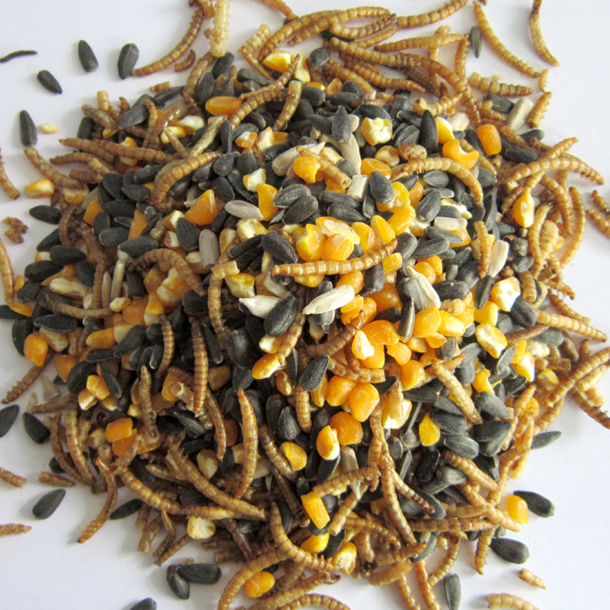 Seed & Mealworm Blend (for Chicken)